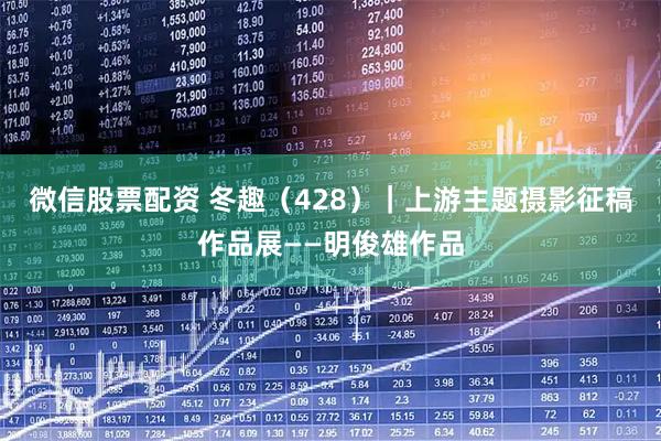 微信股票配资 冬趣（428）｜上游主题摄影征稿作品展——明俊雄作品